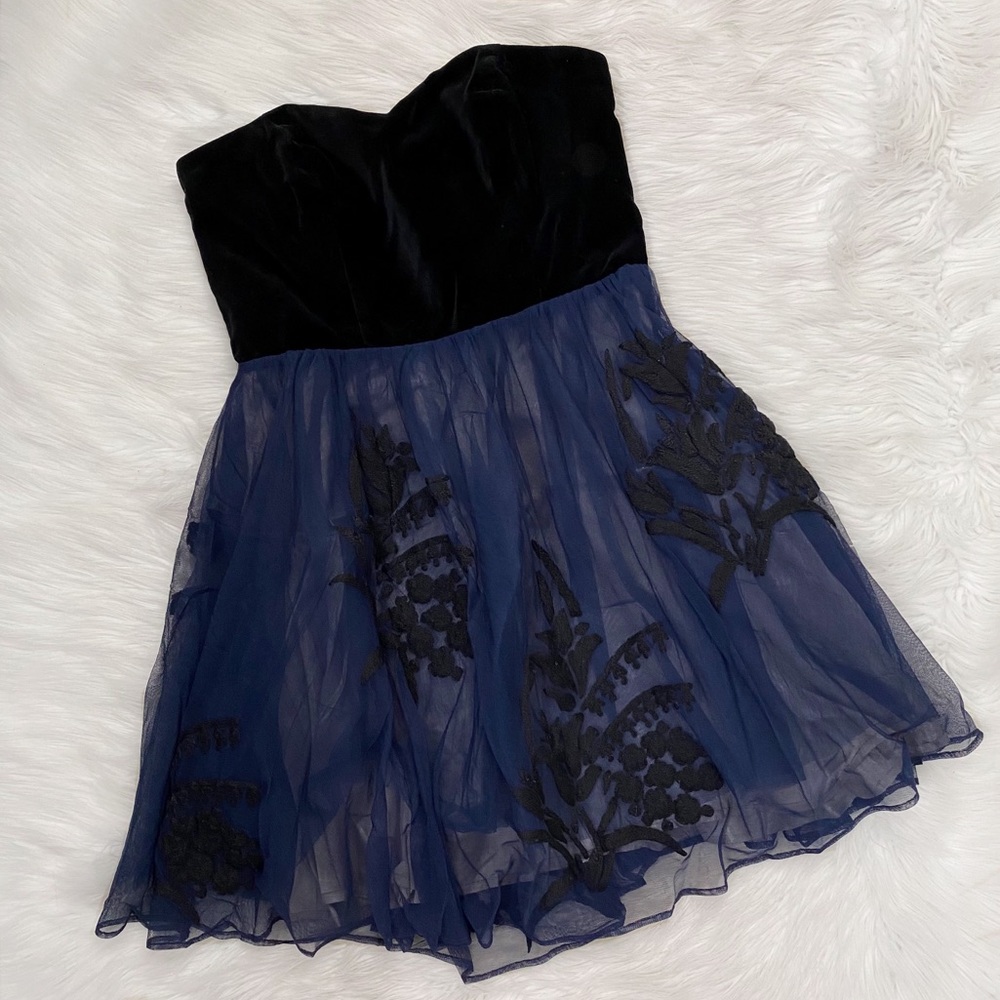 Anthropologie Black/Blue Velvet Tulle Embroidered Dress.Perfect for the Holidays